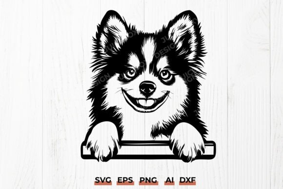 Peeking Pomsky SVG: A Designer’s Real-World Embroidery Review